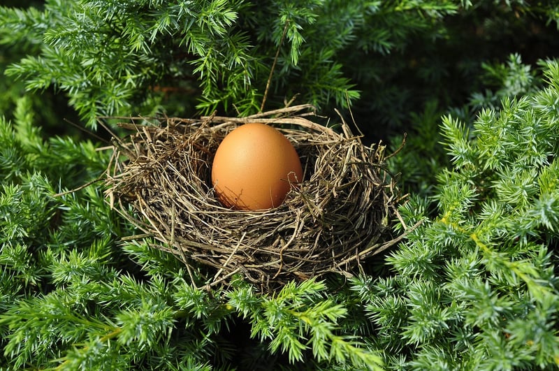 Dragon nests