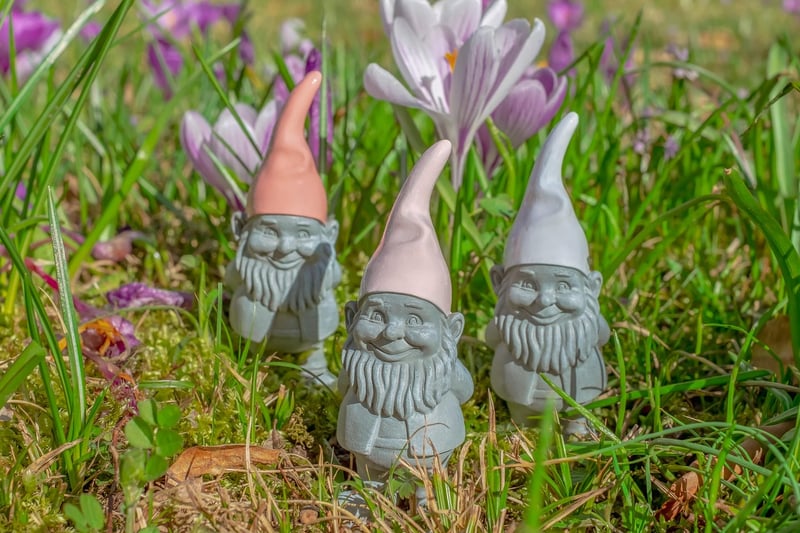 Garden gnome