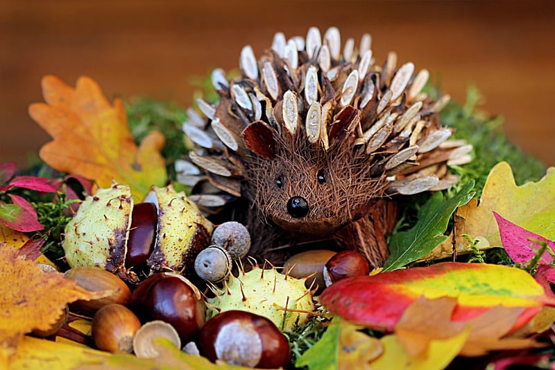 Hedgehog House